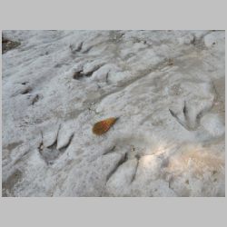 07-DSCN0394cr SW area.jpg